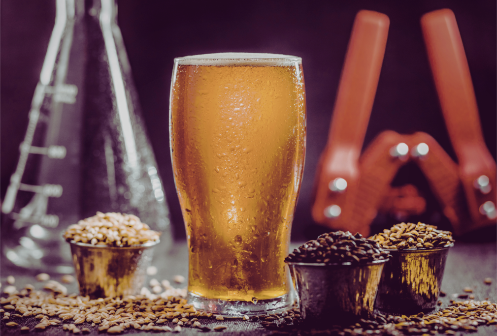Barley Malt & Brewing Chemistry