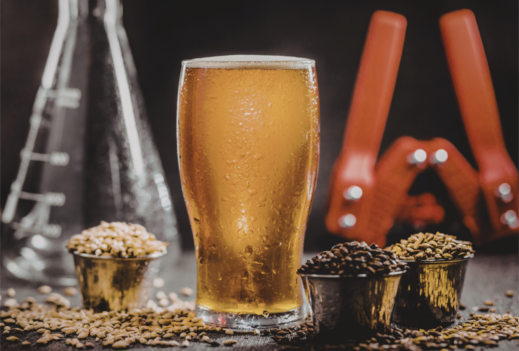 Barley Malt brewing ingredients