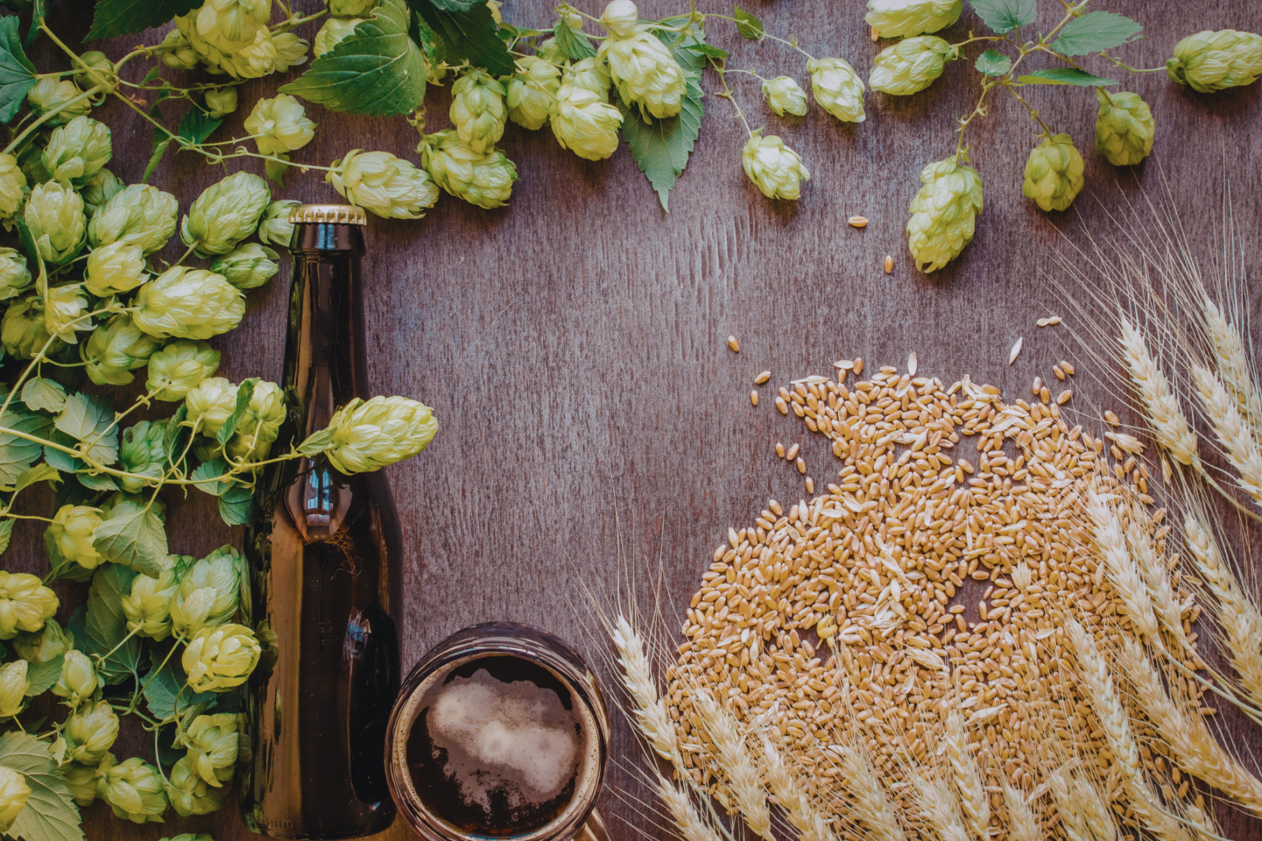 Crafting Beer Ingredients